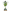 Azerbaijani Champion 2025 Azerbaijani Champion 2025