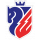 FC Botosani